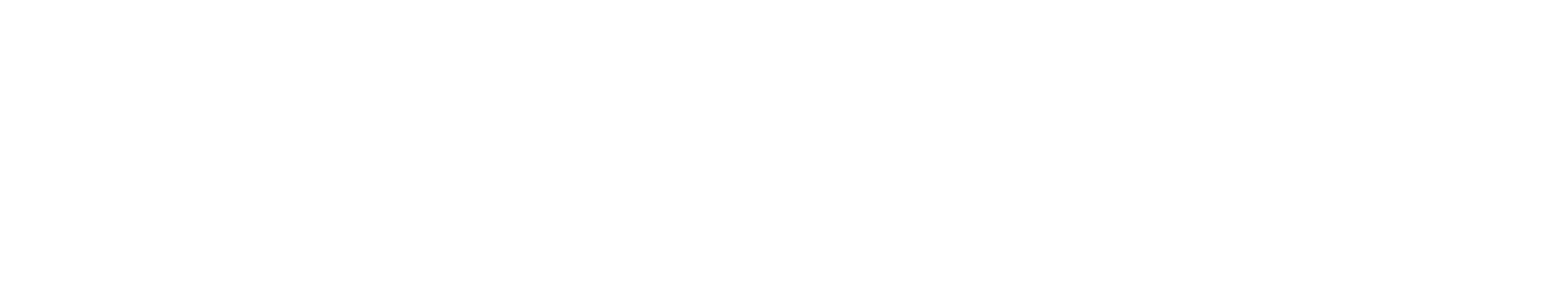 Logo TechnoServe